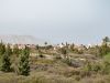 teneriffa-teide-2016-37