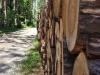 Holz