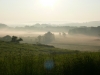 Nebel
