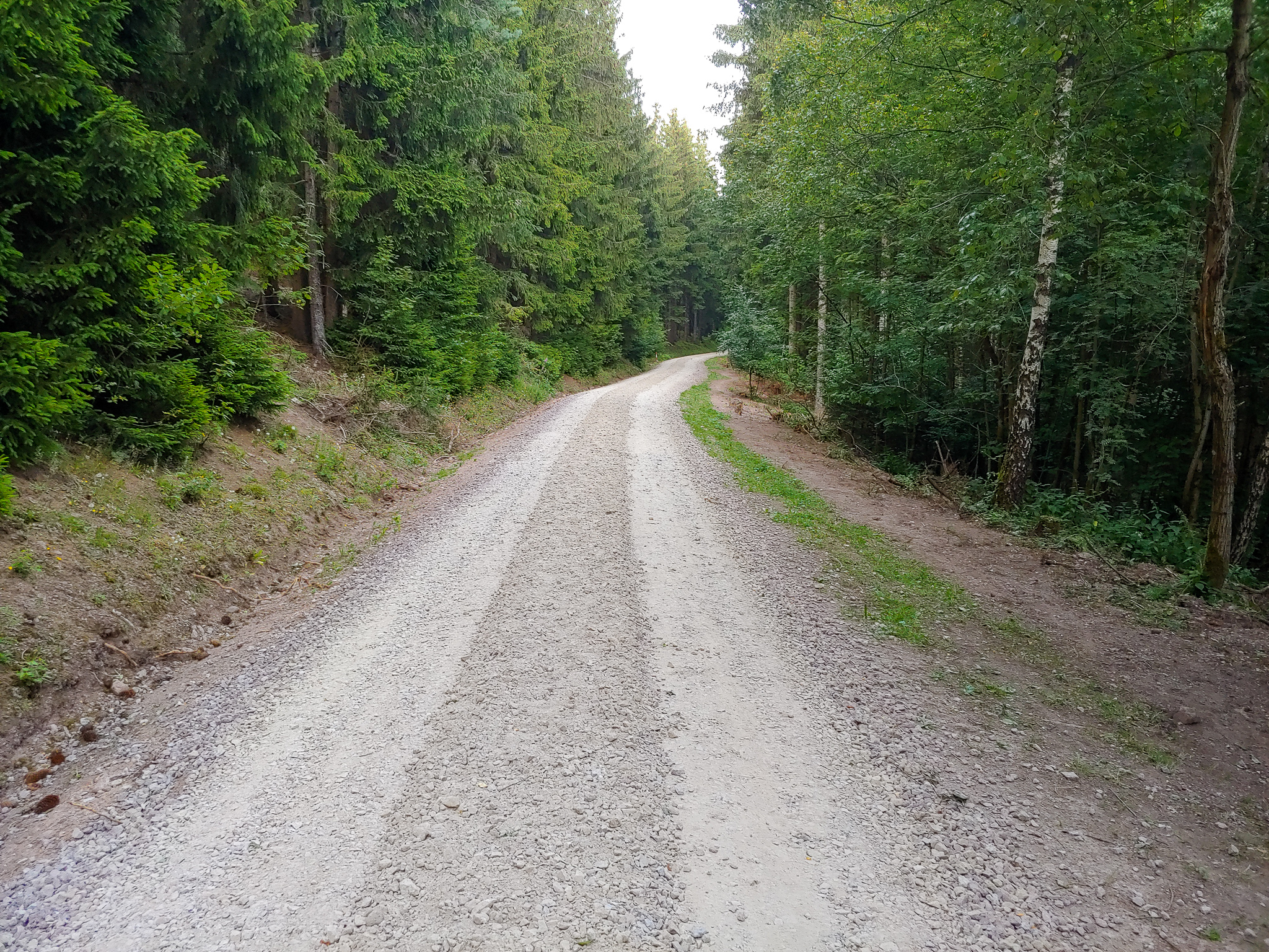Eine neuer Forstschnellweg
