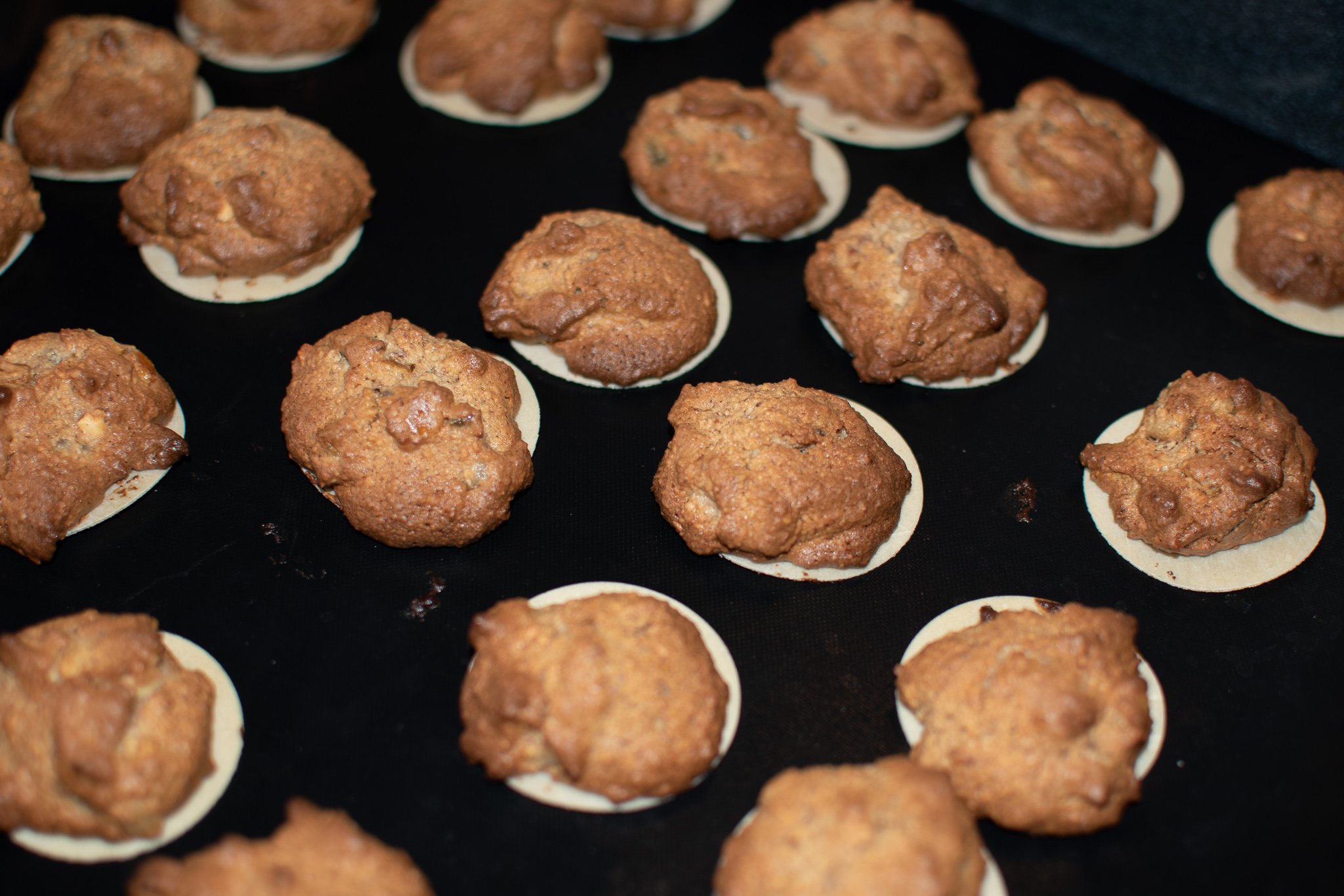 Lebkuchen Plätzchen