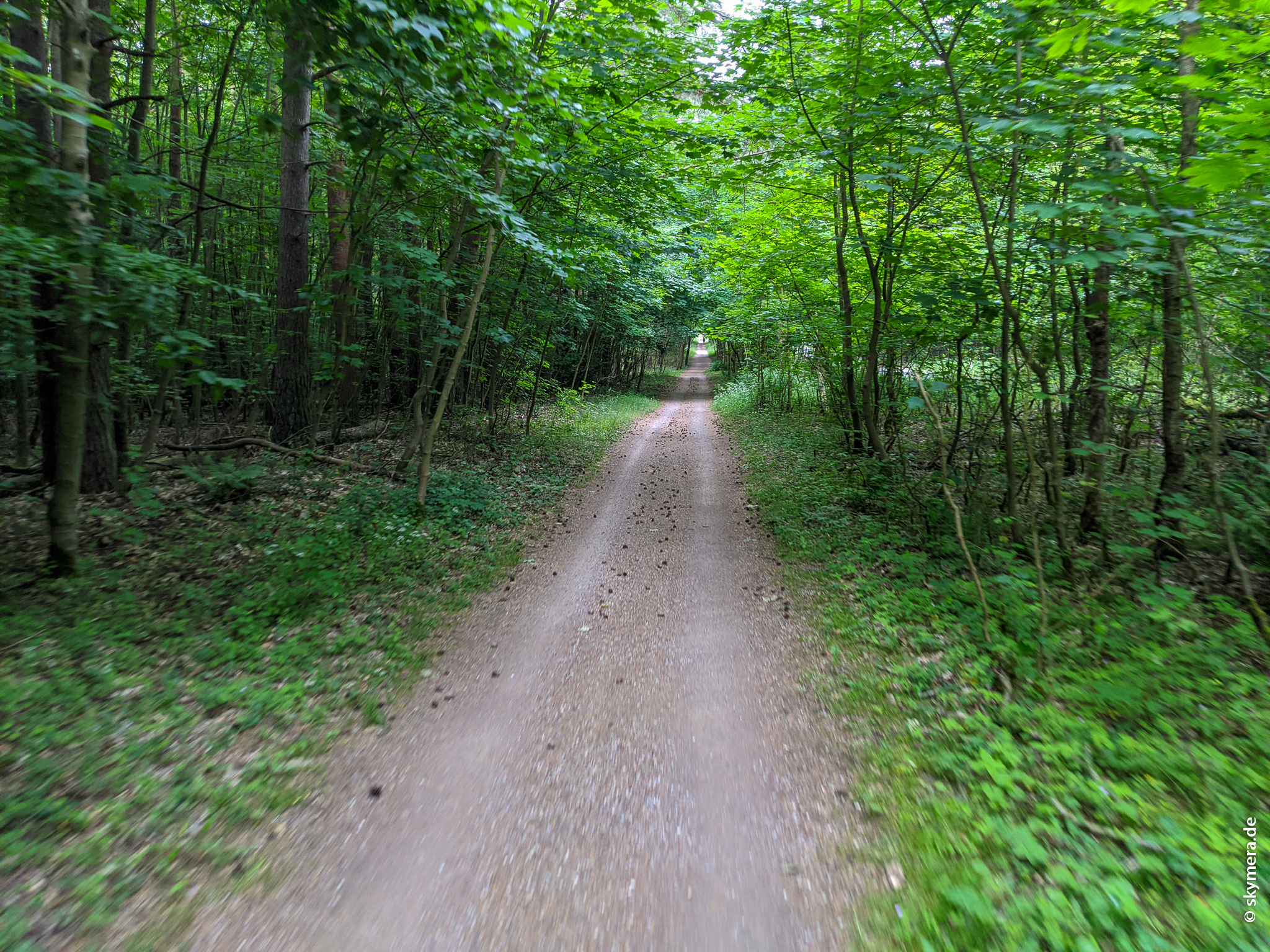 MTB – Müritz Nationalpark