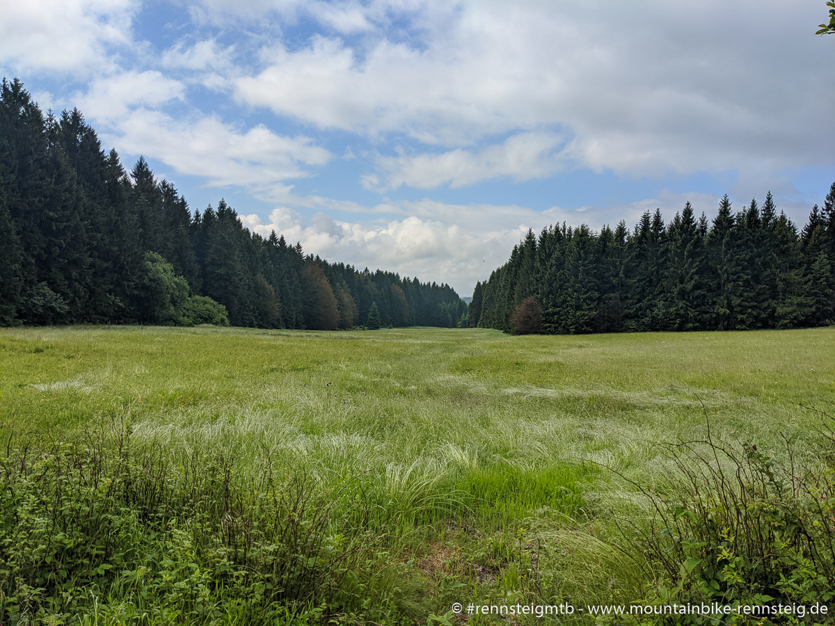 Die Einsamkeit am Rennsteig